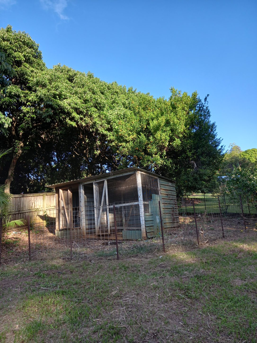 Coop, after