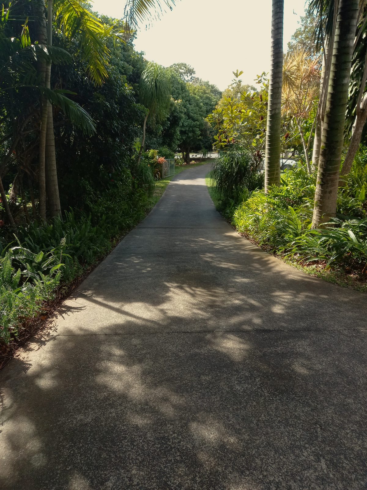 Driveway, before