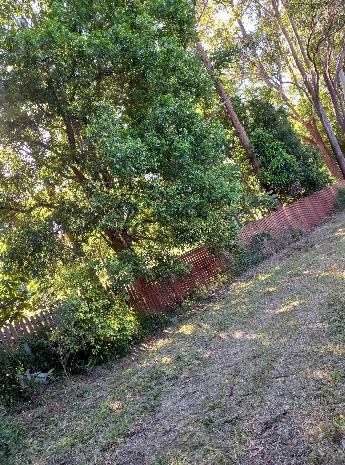 Fence, before