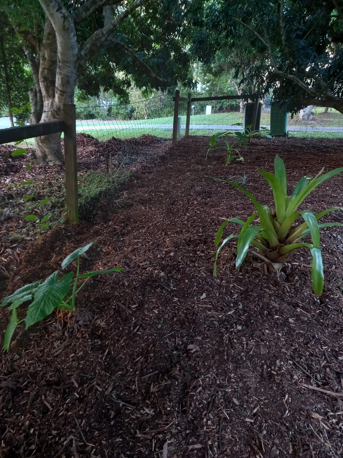 Garden 1, after