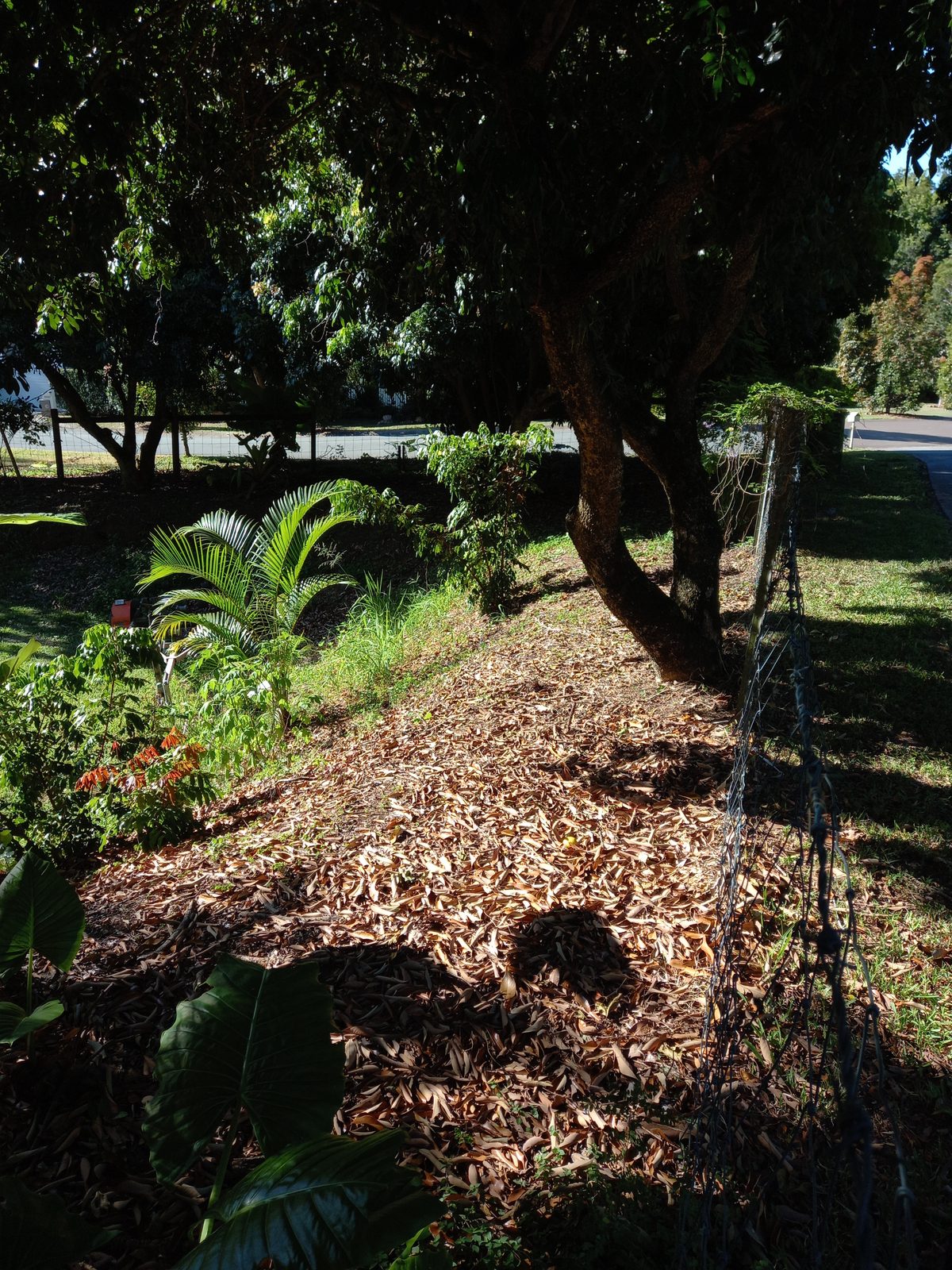 Garden 2, before