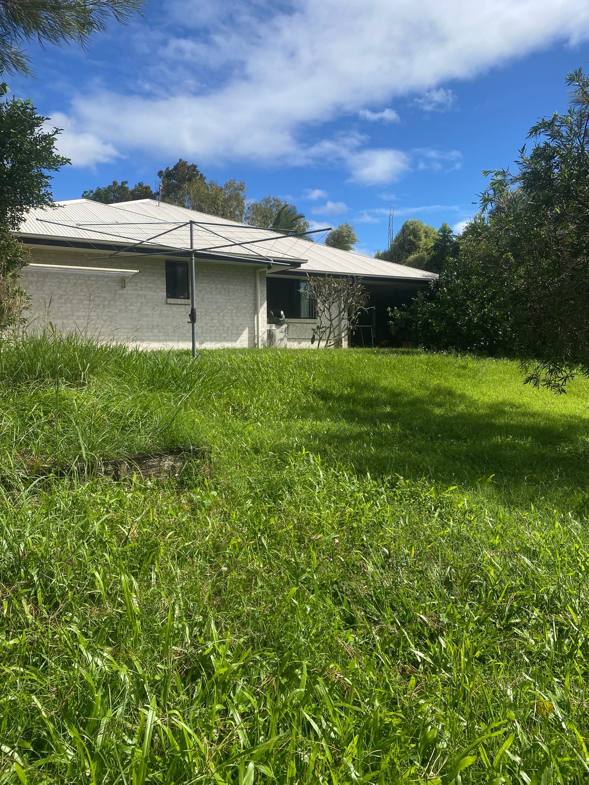 Lawn 2, before