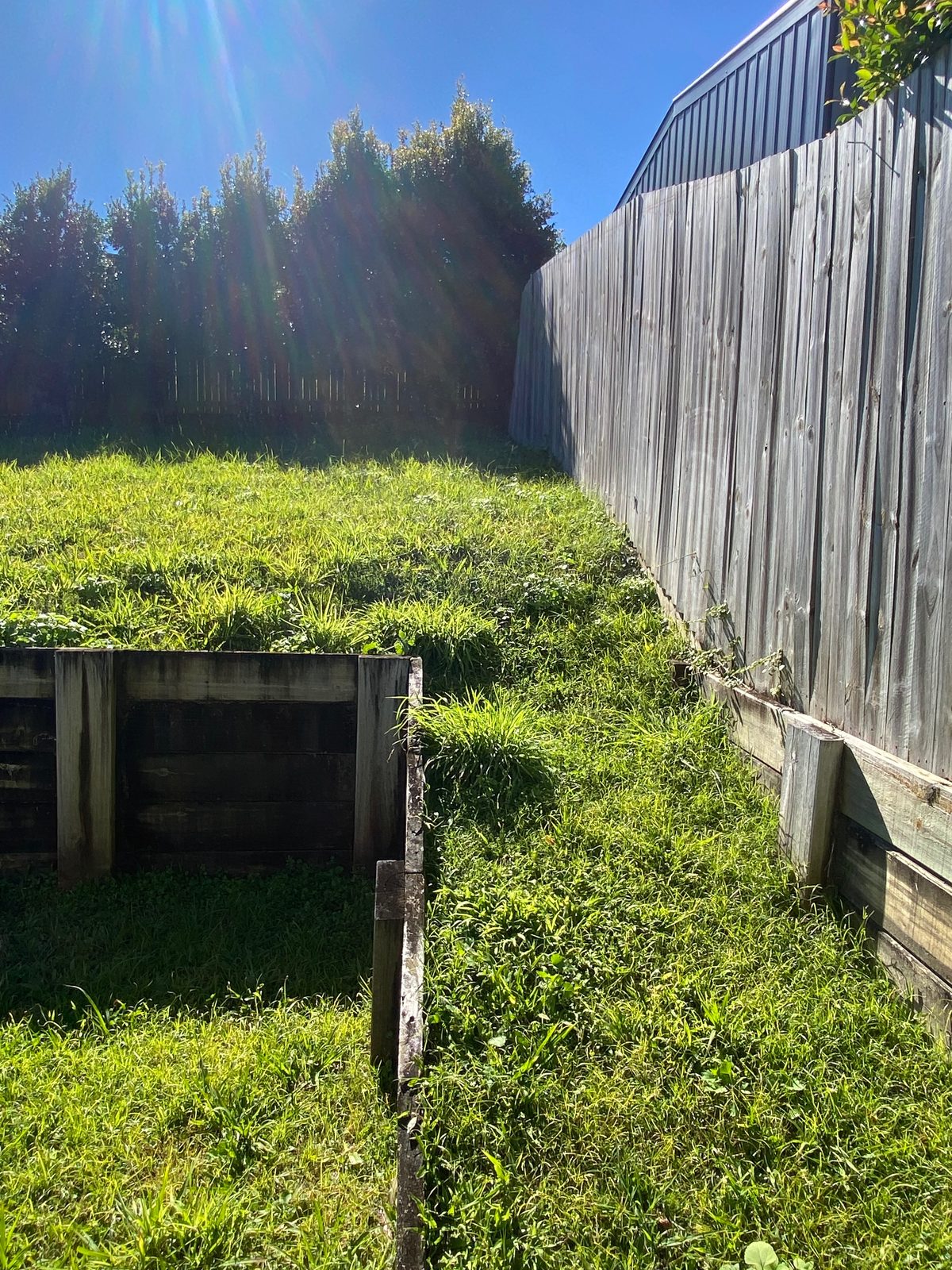 Lawn, before