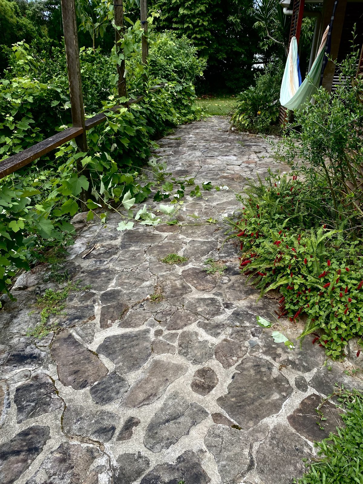 Path 2, before