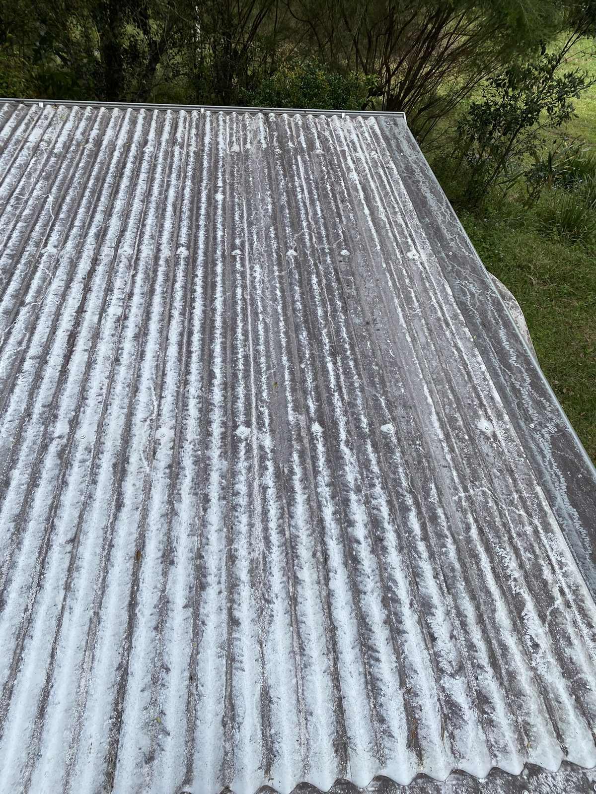 Roof 4, before