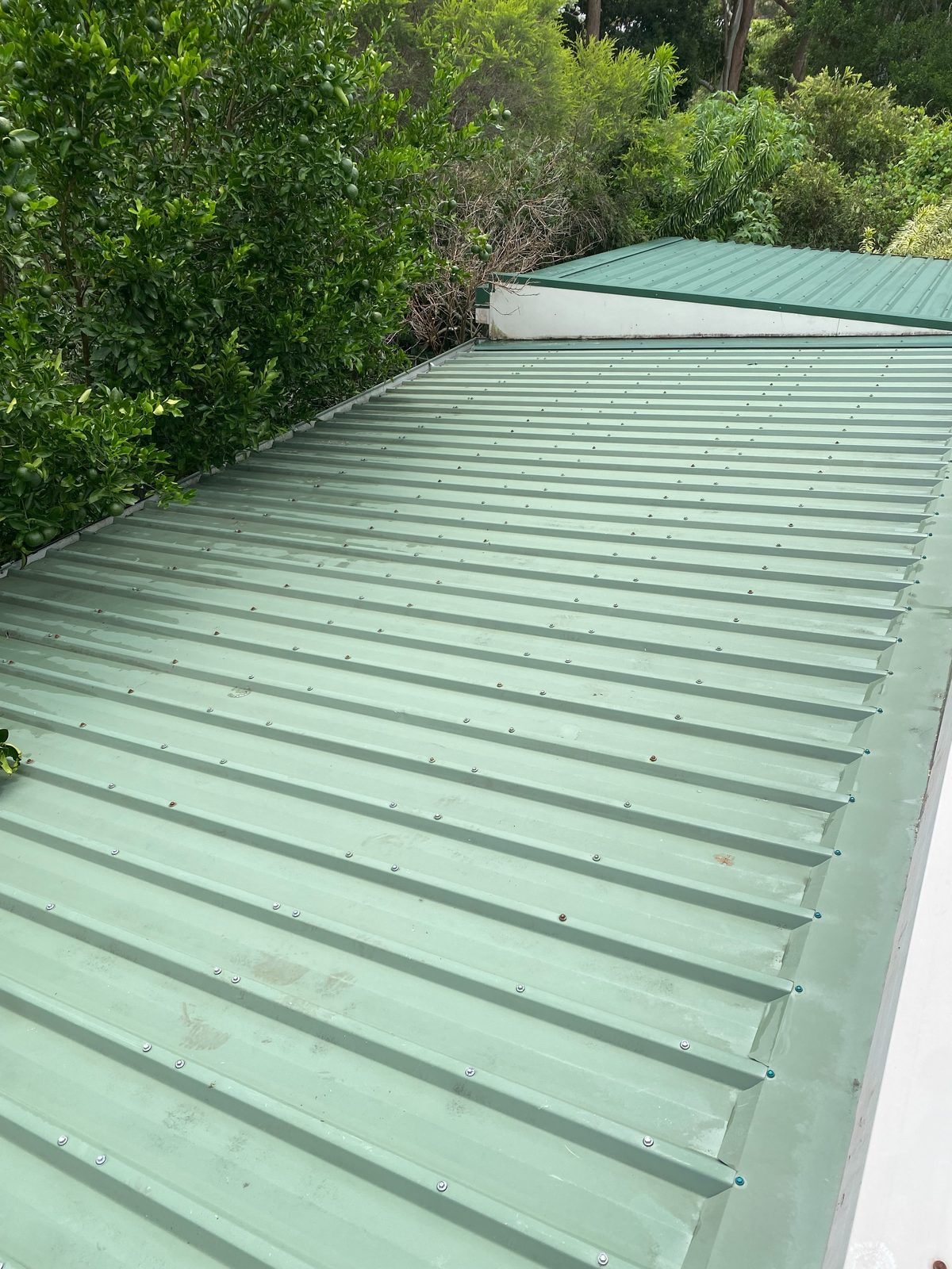 Roof 5, after