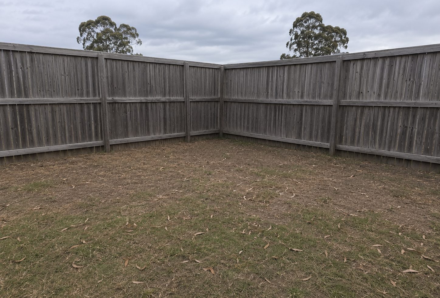 Garden path and planting, before
