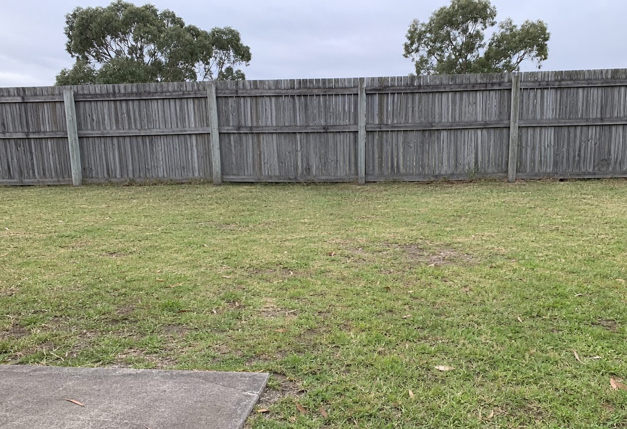 Scene 7, before