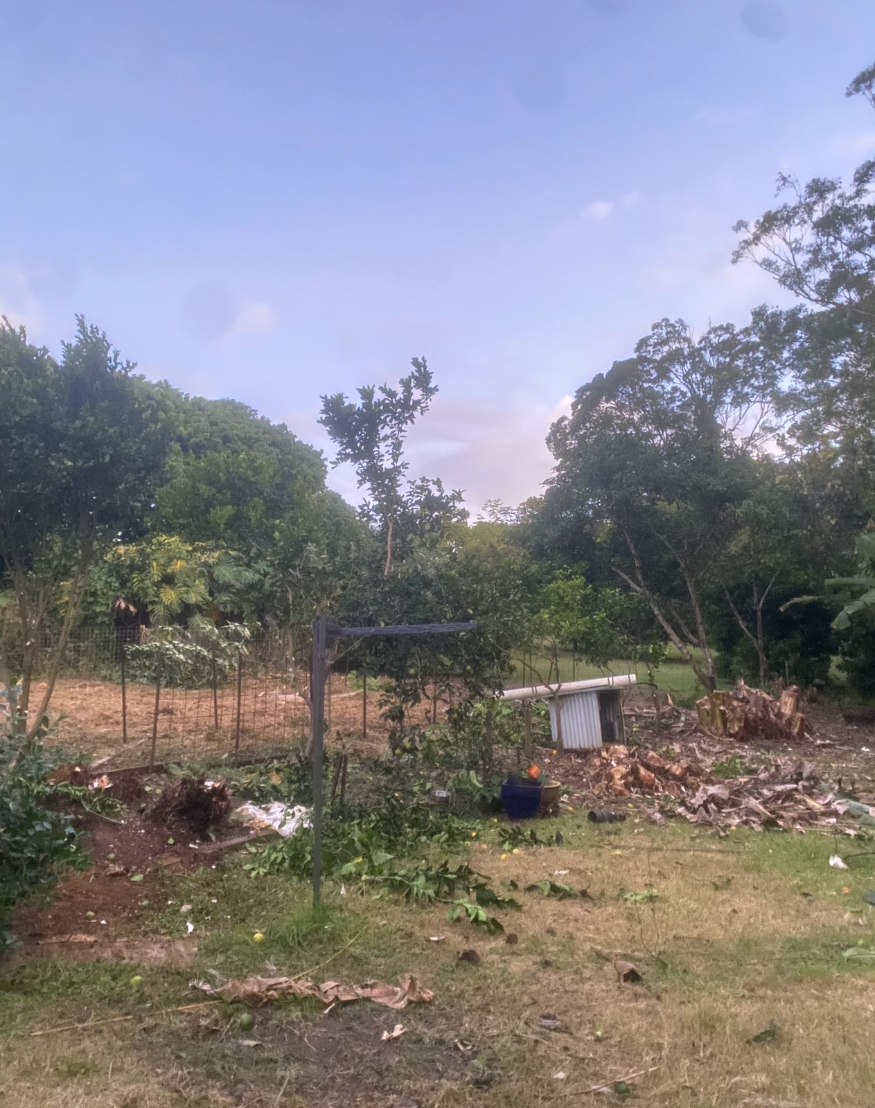 Shed, before