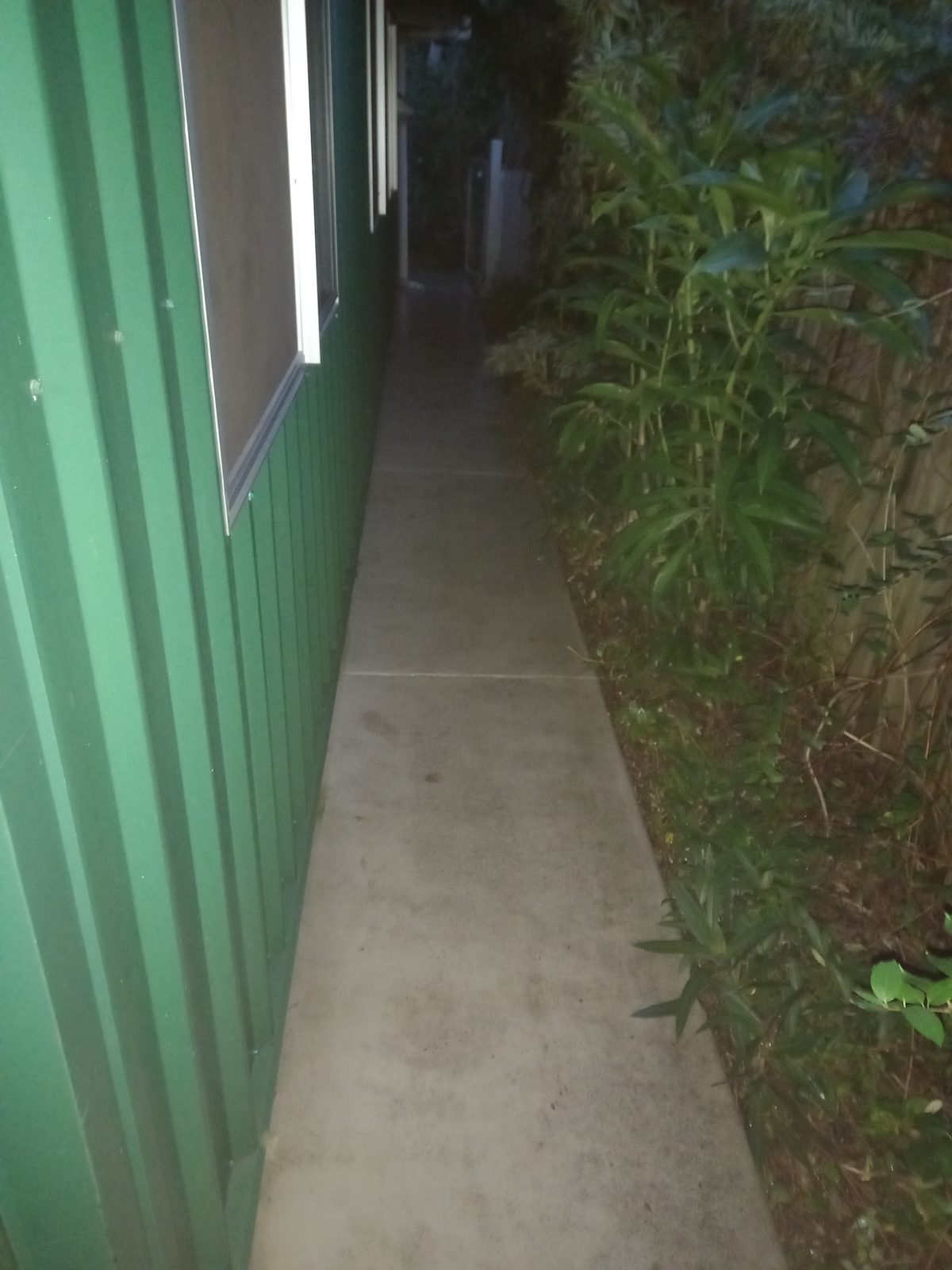 Side garden, after