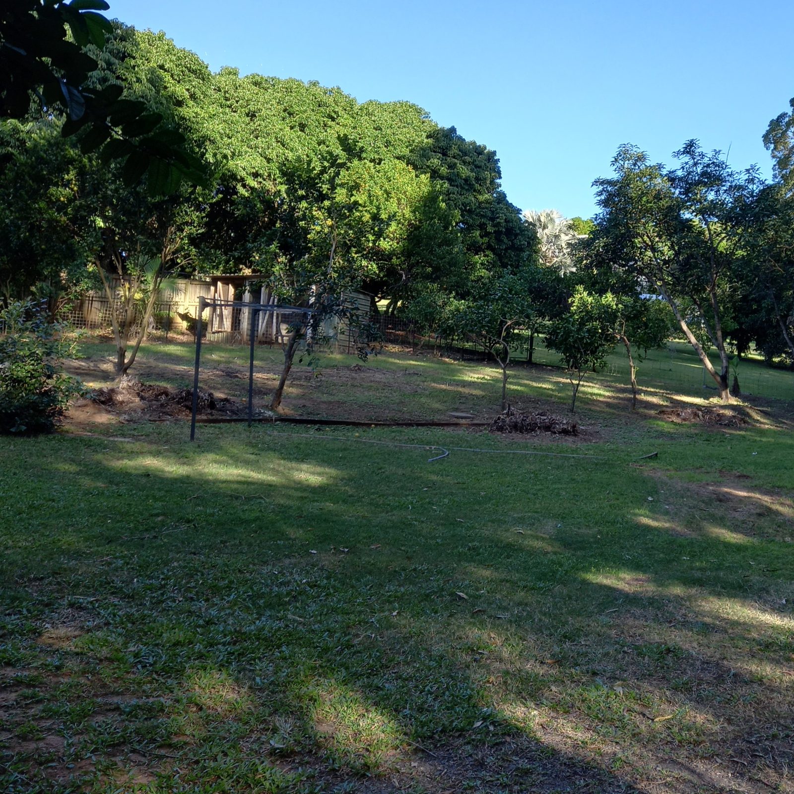 Yard, after