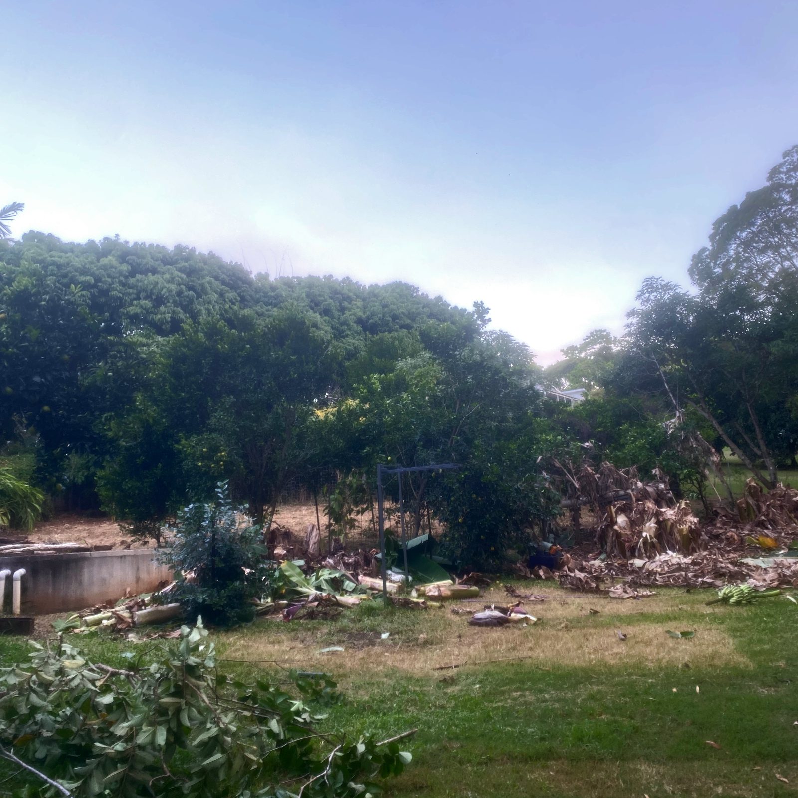 Yard, before